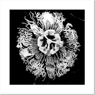 Black and White PassionFlower Posters and Art